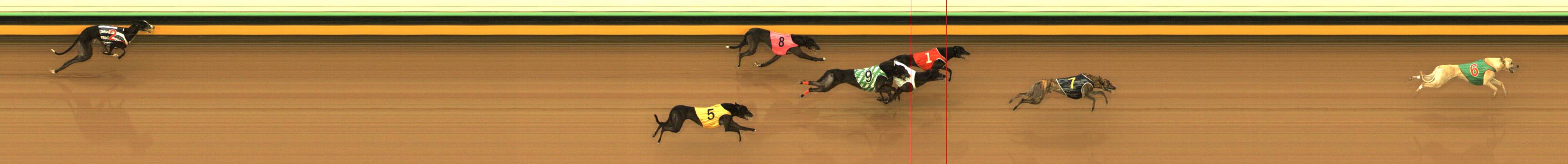 Race result finish photo